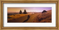 High angle view of a motorcycle moving on a road, Mt Tamalpais, Marin County, California, USA Fine Art Print