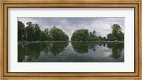 Reflection of trees in a pond, Versailles, Paris, Ile-De-France, France Fine Art Print