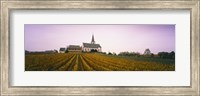 Vineyard with a church in the background, Hochheim, Rheingau, Germany Fine Art Print