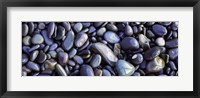 Close-up of pebbles, Sandymouth Beach, Cornwall, England Fine Art Print