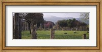 Ancient Olympia, Olympic Site, Greece Fine Art Print