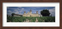 Vineyard in front of a castle, Chateau Cos d'Estournel, Saint-Estephe, Bordeaux, Gironde, Graves, France Fine Art Print