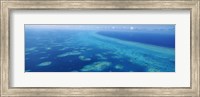 Coral reef in the sea, Belize Barrier Reef, Ambergris Caye, Caribbean Sea, Belize Fine Art Print