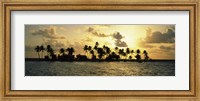 Silhouette of palm trees on an island at sunset, Laughing Bird Caye, Victoria Channel, Belize Fine Art Print