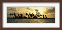 Silhouette of palm trees on an island at sunset, Laughing Bird Caye, Victoria Channel, Belize Fine Art Print