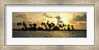 Silhouette of palm trees on an island at sunset, Laughing Bird Caye, Victoria Channel, Belize Fine Art Print