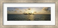 Silhouette of palm trees on an island, Placencia, Laughing Bird Caye, Victoria Channel, Belize Fine Art Print