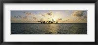 Silhouette of palm trees on an island, Placencia, Laughing Bird Caye, Victoria Channel, Belize Fine Art Print