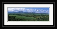 High angle view of sugar cane fields, Cienfuegos, Cienfuegos Province, Cuba Fine Art Print