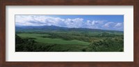 High angle view of sugar cane fields, Cienfuegos, Cienfuegos Province, Cuba Fine Art Print