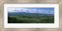 High angle view of sugar cane fields, Cienfuegos, Cienfuegos Province, Cuba Fine Art Print