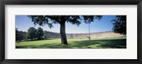 Tree in front of a building, Royal Crescent, Bath, England Fine Art Print