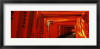 Torii gates of a shrine, Fushimi Inari-Taisha, Fushimi Ward, Kyoto, Kyoto Prefecture, Kinki Region, Honshu, Japan Fine Art Print