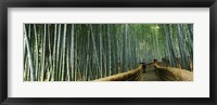 Stepped walkway passing through a bamboo forest, Arashiyama, Kyoto Prefecture, Kinki Region, Honshu, Japan Fine Art Print