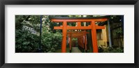 Torii Gates in a park, Ueno Park, Taito, Tokyo Prefecture, Kanto Region, Japan Fine Art Print