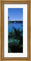 Sailboats in the ocean, Kingdom of Tonga, Vava'u Group of Islands, South Pacific Fine Art Print