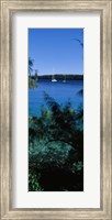 Sailboats in the ocean, Kingdom of Tonga, Vava'u Group of Islands, South Pacific Fine Art Print