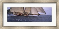 Sailboat in the sea, Schooner, Antigua, Antigua and Barbuda Fine Art Print