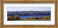 Trees at the lakeside, Owasco Lake, Finger Lakes, New York State, USA Fine Art Print