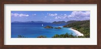 Trees on the coast, Trunk Bay, Virgin Islands National Park, St. John, US Virgin Islands Fine Art Print