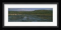 Flock of flamingos in a lake, Lake Nakuru, Great Rift Valley, Lake Nakuru National Park, Kenya Fine Art Print