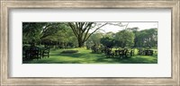 Chairs and tables in a lawn, Lake Naivasha Country Club, Great Rift Valley, Kenya Fine Art Print