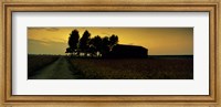 Silhouette of a farmhouse at sunset, Polesine, Veneto, Italy Fine Art Print