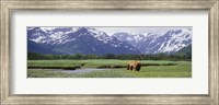 Kukak Bay, Katmai National Park, Alaska Fine Art Print
