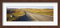 Gravel road passing through a landscape, Cape Bonavista, Newfoundland, Newfoundland and Labrador, Canada Fine Art Print