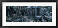 Overgrown tree roots on ruins of a temple, Ta Prohm Temple, Angkor, Cambodia Fine Art Print