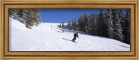 Tourists skiing, Kitzbuhel, Westendorf, Tirol, Austria Fine Art Print