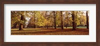Ludwigsburg Park in autumn, Ludwigsburg, Baden-Wurttemberg, Germany Fine Art Print