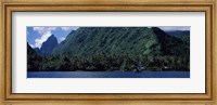 Trees on the coast, Tahiti, French Polynesia Fine Art Print