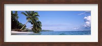 Palm trees on the beach, Indonesia Fine Art Print