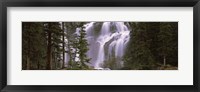 Waterfall in a forest, Banff, Alberta, Canada Fine Art Print