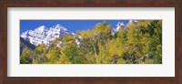 Forest with snowcapped mountains in the background, Maroon Bells, Aspen, Pitkin County, Colorado, USA Fine Art Print