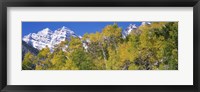 Forest with snowcapped mountains in the background, Maroon Bells, Aspen, Pitkin County, Colorado, USA Fine Art Print