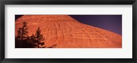 Shadow of trees on a rock formation, Checkerboard Mesa, Zion National Park, Utah, USA Fine Art Print