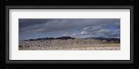 Flock of Snow Geese Flying Under a Cloudy Sky, Bosque del Apache National Wildlife Reserve, New Mexico Fine Art Print