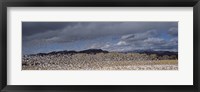 Flock of Snow Geese Flying Under a Cloudy Sky, Bosque del Apache National Wildlife Reserve, New Mexico Fine Art Print