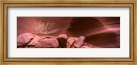 Bare Tree and Rock formations, Antelope Canyon, Arizona Fine Art Print