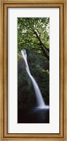 Waterfall in a forest, Horsetail falls, Larch Mountain, Hood River, Columbia River Gorge, Oregon, USA Fine Art Print