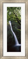 Waterfall in a forest, Horsetail falls, Larch Mountain, Hood River, Columbia River Gorge, Oregon, USA Fine Art Print