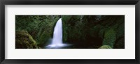 Cascading waterfall in the Columbia River Gorge, Oregon, USA Fine Art Print