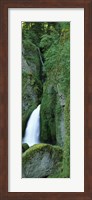 Waterfall in a forest, Columbia River Gorge, Oregon, USA Fine Art Print