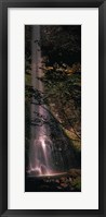 Waterfall in a forest, Columbia Gorge, Oregon, USA Fine Art Print