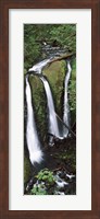 High angle view of a waterfall in a forest, Triple Falls, Columbia River Gorge, Oregon (vertical) Fine Art Print