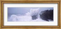 Waves breaking on the coast, Shore Acres State Park, Oregon Fine Art Print
