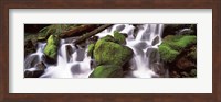 Cascading waterfall in a rainforest, Olympic National Park, Washington State, USA Fine Art Print