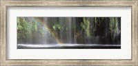 Rainbow formed in front of waterfall in a forest, near Dunsmuir, California Fine Art Print